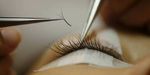 Lashes2.jpg